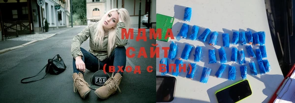 индика Богородицк
