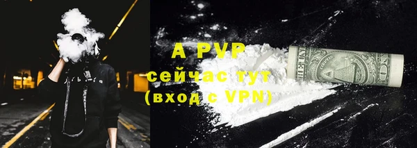 индика Богородицк