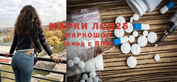 индика Богородицк