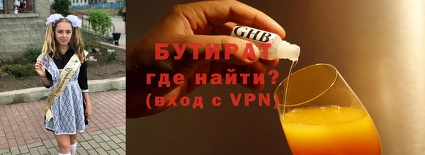 индика Богородицк