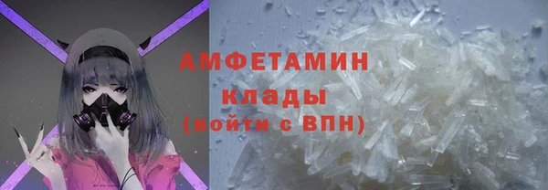 индика Богородицк