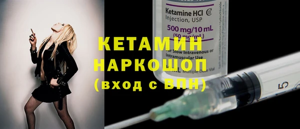 индика Богородицк
