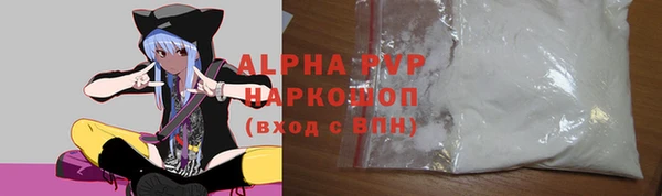 индика Богородицк