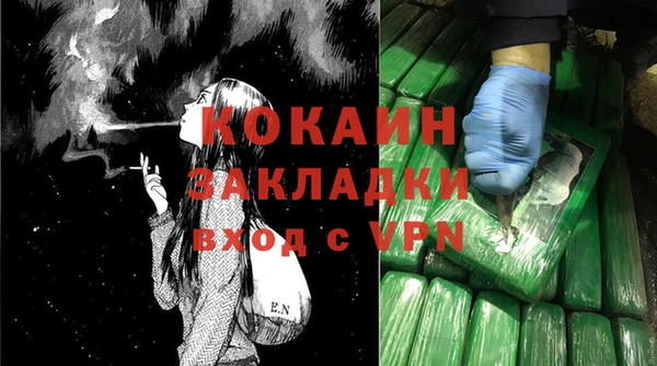 индика Богородицк
