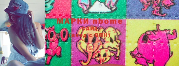 индика Богородицк
