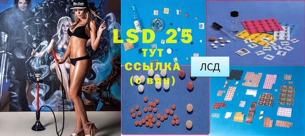 индика Богородицк