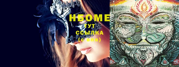 индика Богородицк