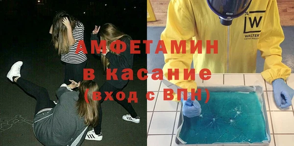 индика Богородицк