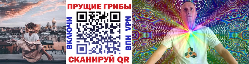 Галлюциногенные грибы Psilocybe Купить где Высоцк